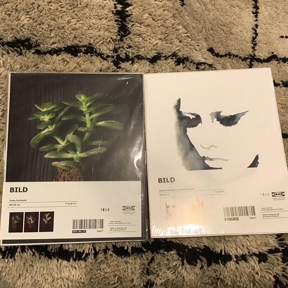 5 IKEA Bild prints 7.75”x9.75 - succulent, watercolor